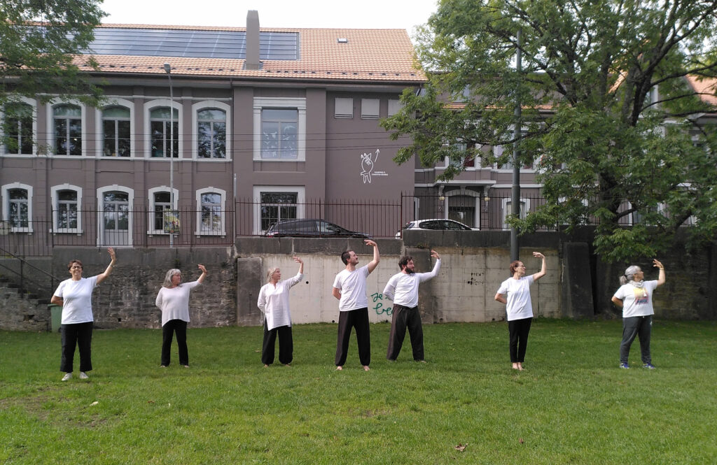 Qigong de santé - Yi Jin Jing - Cueillir l'étoile
